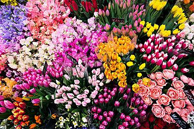 Switch《符文工房3豪华版》日版2023年3月2日发售 特别版内容揭晓