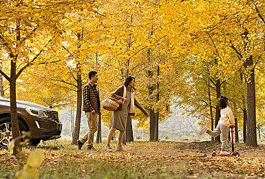 谷歌请求法庭驳回广告商的反垄断诉讼案：可仲裁解决