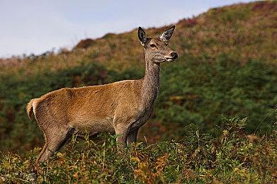 《驱灵者：新伊甸的幽灵》“抉择和后果”预告 2月13日发售